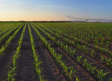 Depositphotos_51585933_DS467 Depositphotos_51585933_DS467