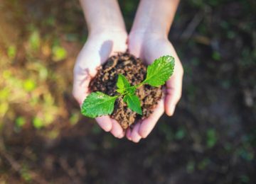 Depositphotos_558285914_DS467 Top view image of hands holding small tree with soil to grow with nature background